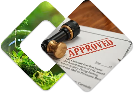 Công ty TNHH Môi Trường Xanh Phúc Nguyên